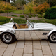 Illustration for article titled Kirkham Motorsports Billet Cobra Body